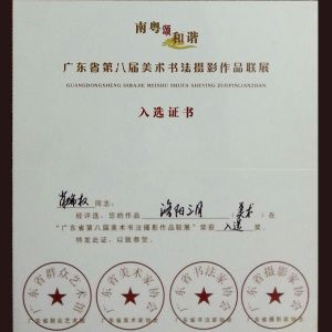 入选证书