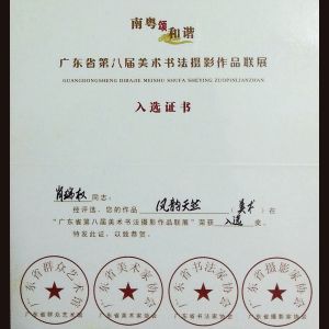 入选证书