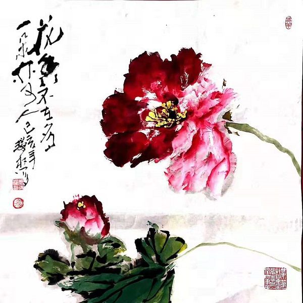 肖瑞权——一枝独秀