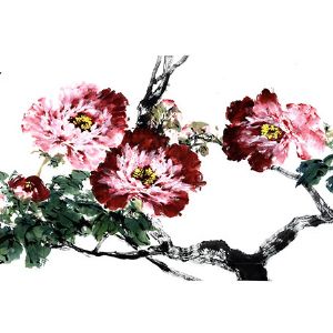 肖瑞权——花开富贵