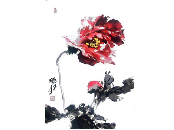 广东牡丹王-肖瑞权